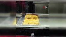 İzmir’den iğrenç görüntü: Börek tezgahlarında fare cirit attı
