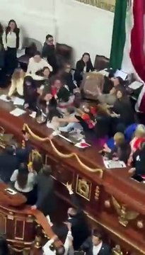 Murros e puxões de cabelo. Sessão no Parlameno do México interrompida