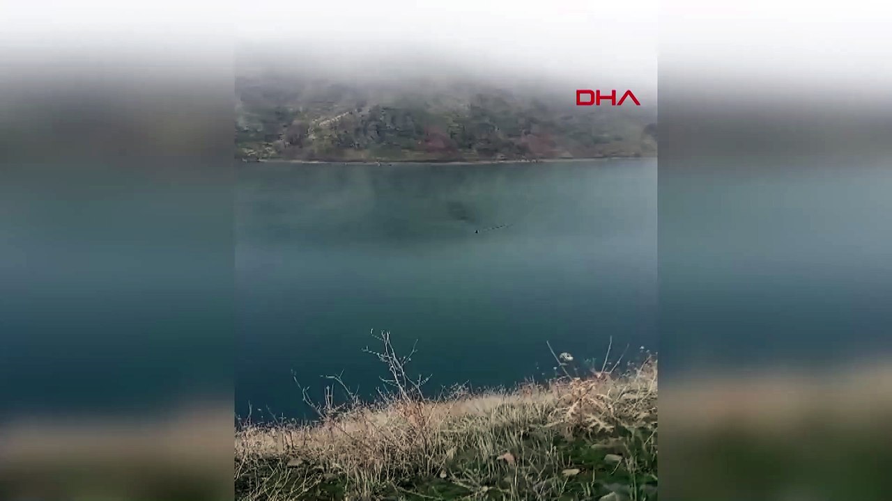 Dağ keçisi baraj gölünü yüzerek geçti; o anlar kamerada