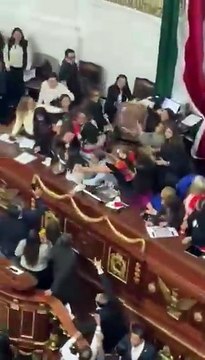 Murros e puxões de cabelo. Sessão no Parlameno do México interrompida