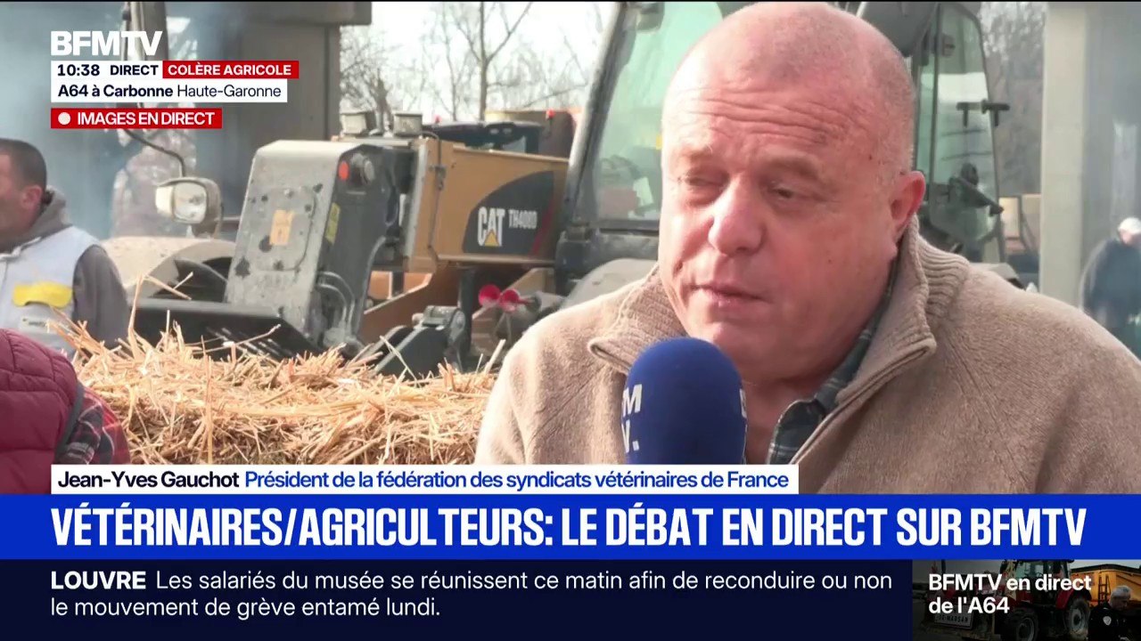 Colère agricole: "Quand on arrive dans une ferme, on forme un binôme avec l'éleveur", affirme Jean-Yves Gauchot (vétérinaire)