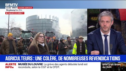 Colère agricole: "Si le Mercosur est signé cette semaine, on comprendra que la question n'était pas que la dermatose", affirme Loïc Kervran, député Horizons du Cher