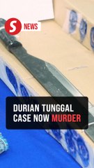 Families welcome reclassification of Durian Tunggal case as murder