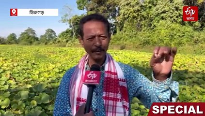 ট্ৰাকে ট্ৰাকে ৰপ্তানি হৈছিল খোৱাঙৰ ৰঙালাও, পানীৰ অভাৱত এইবাৰ গছো শুকাইছে শস্যও শুকাইছে