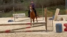 Horse-riding lesson turns comical when rider fails to stay seated after a jump