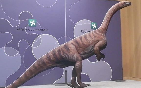 Nuova scoperta: orme di dinosauri nel Parco Nazionale dello Stelvio