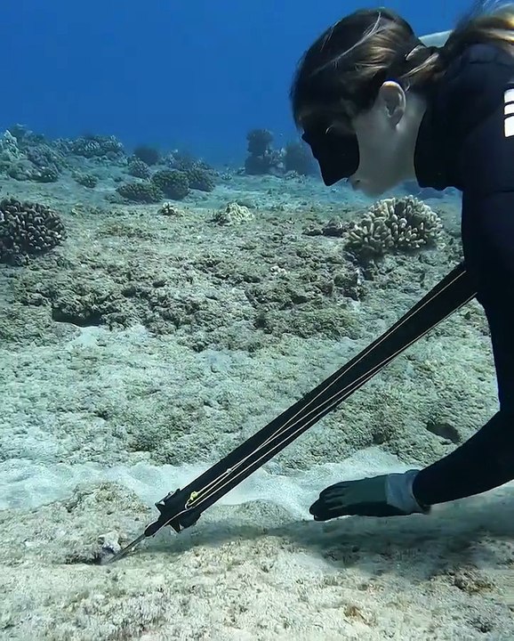 Catching Large Octopos