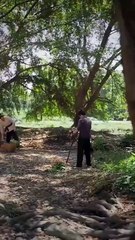 De La Ruina Al Triunfo Cuando Todo Cambia Episodio Completo