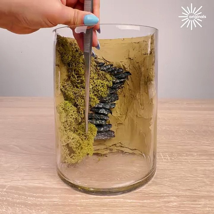 Creating a mini forest inside a glass jar! 🌳🌱
