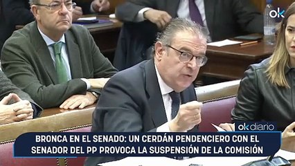 Bronca en el Senado: un Cerdán pendenciero con el senador del PP provoca la suspensión de la comisión