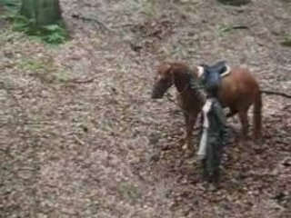fossé à pied TREC... de justesse