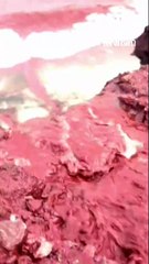 Des pluies déclenchent des torrents rouge sang en Iran