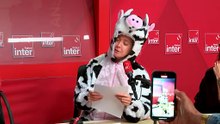 Le Covid de la vache : le Cowid - Charline explose les faits