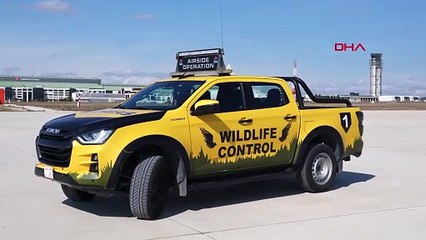 İstanbul havalimanlarında kuş alarmı! Ornitologlar görev başında