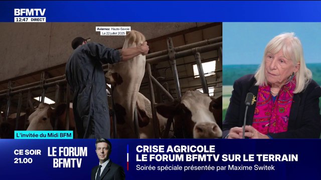 Épidémie de dermatose nodulaire contagieuse: C'est un vaccin qui est très efficace , assure cette vétérinaire