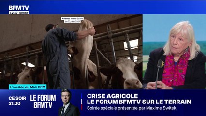 Épidémie de dermatose nodulaire contagieuse: "C'est un vaccin qui est très efficace", assure cette vétérinaire
