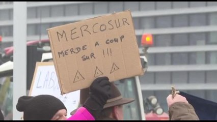 "No al Mercosur", protesta degli agricoltori davanti a Europarlamento