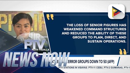 AFP: Members of extremist, terror groups down to 50