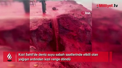 Deniz kırmızıya büründü, gören bir daha baktı! Hürmüz Adası'nda ilginç manzara