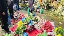 Punjab Introduces Modern Fruit & Vegetable Initiative!