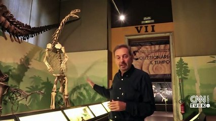 İtalya’da heyecanlandıran keşif: Bu izler tam 210 milyon yıllık!