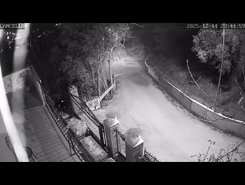 Image from field_mediaid