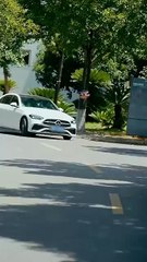 The CEO’s Wife Suddenly Got Smart (2025) - FULL [Eng Sub]