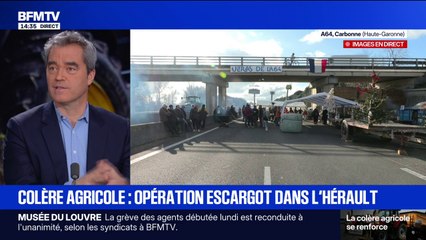 Dermatose nodulaire: les vétérinaires de l'armée vont être mobilisés