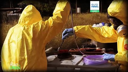 Hacer que los contaminadores paguen: ¿cómo detener a los delincuentes medioambientales?