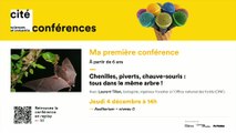 Chenilles, piverts, chauve-souris : tous dans le même arbre