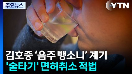 "김호중 방지법에 따른 운전면허 취소 적법" / YTN