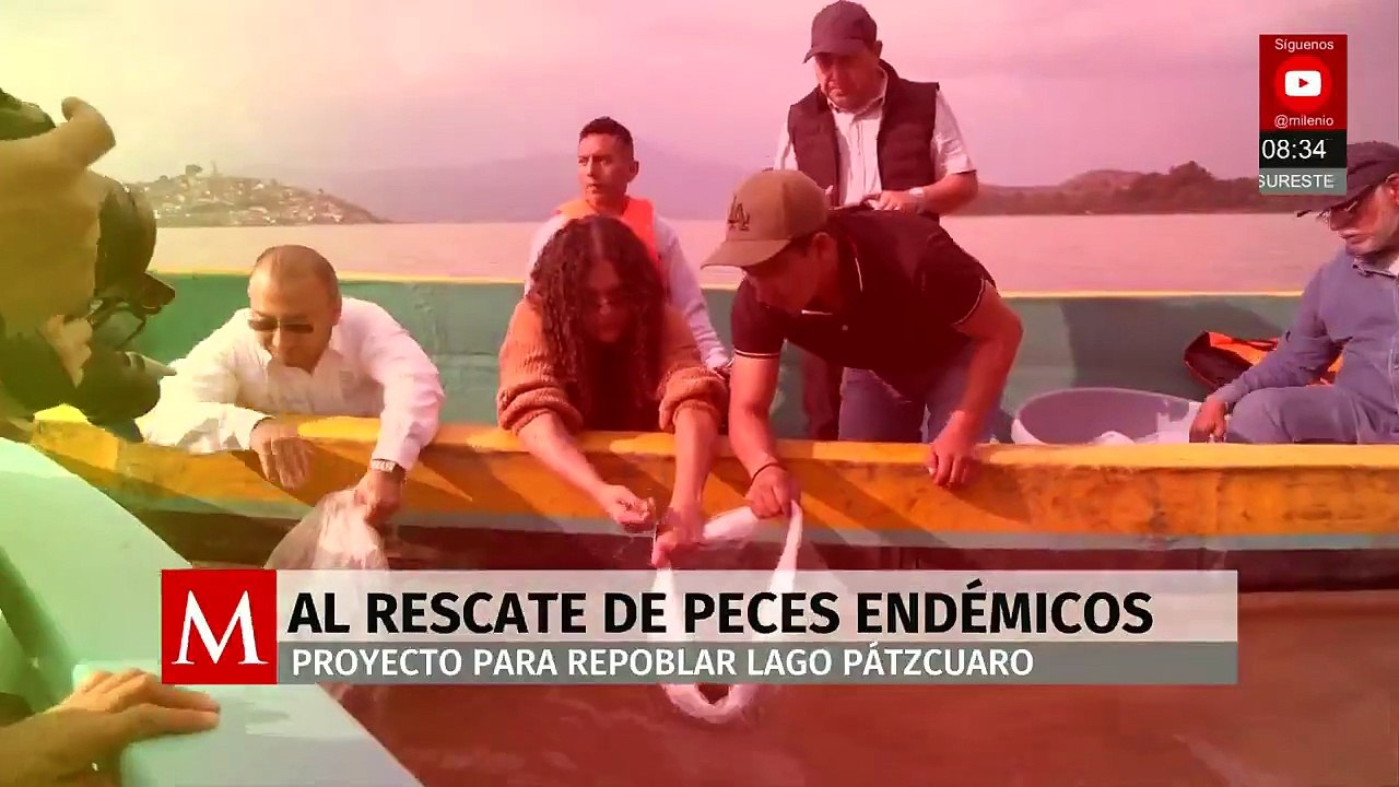 Proyecto busca rescatar y repoblar peces endémicos del lago de Pátzcuaro