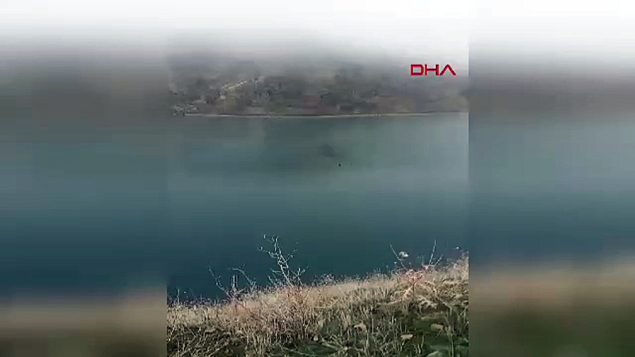 Bingöl’de baraj gölünü aşan dağ keçisi şaşırttı