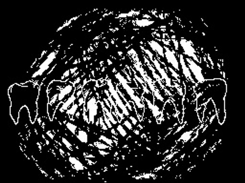 OED2A4_17FC211F02560_000
