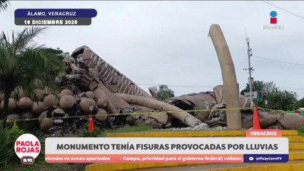 Cámara graba incidente en emblemático monumento de Veracruz | DPC con Poala Rojas
