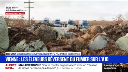 Blocages des agriculteurs: sur l'A10, les éleveurs déversent du fumier