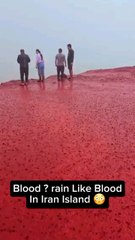 Did you know you can eat this soil? 🤯 The red mountains of Hormuz Island are rich in iron oxide (Hematite), and locals use it as a spice! 🌶️....#DidYouKnow #HormuzIsland #IranTravel #RainbowIsland