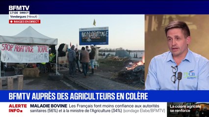 Colère des agriculteurs: pour Alexandre Carcouet, président de la Fédération française des commerçants de bestiaux, “on peut partir sur une vaccination un peu plus large, mais avant, il faut s’assurer que les accords bilatéraux soient en place”
