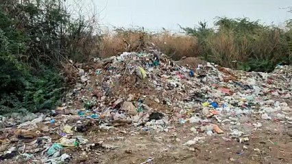 पालीटेक्निक महाविद्यालय व जड़ा तालाब क्षेत्र में बनाया अघोषित कचरा डिपो