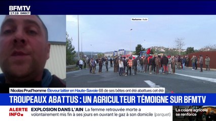 68 de ses bêtes ont été abattues: cet agriculteur témoigne sur BFMTV