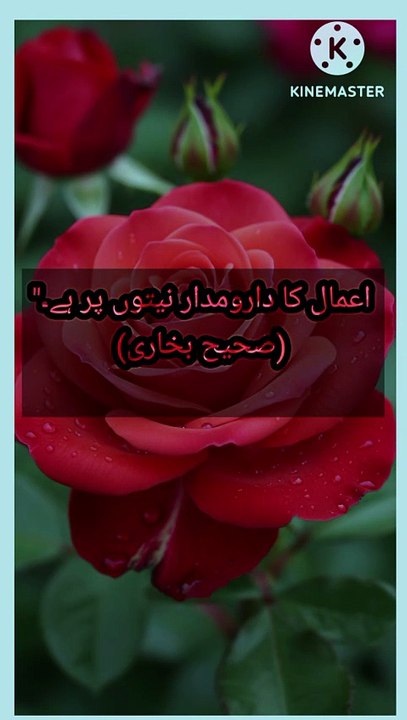 Islami