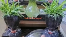 pot bunga dari botol bekas