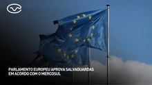 Parlamento europeu aprova salvaguardas em acordo com o mercosul