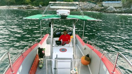 Rescatan ballena atrapada en red en costas de Jalisco | CPS Noticias