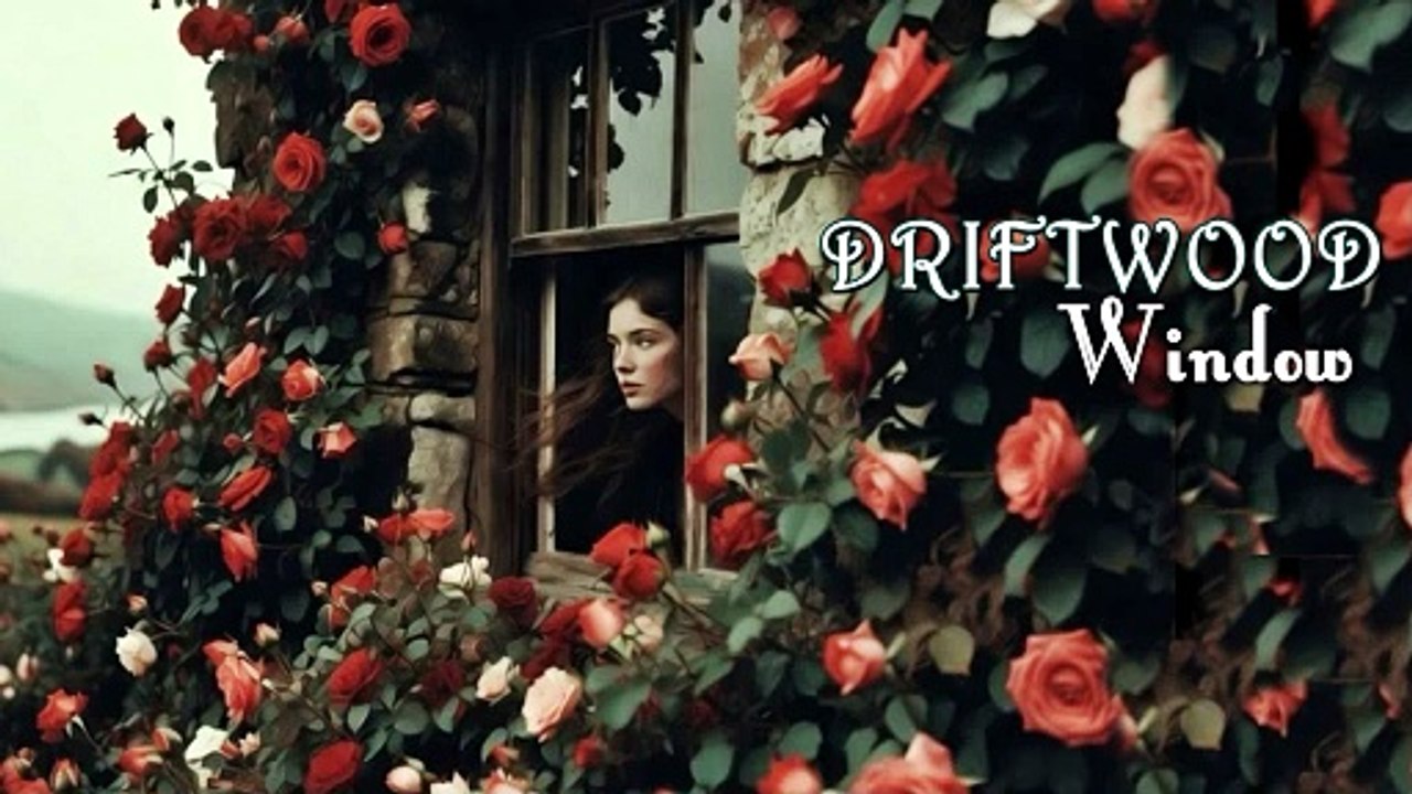 Driftwood - Window
