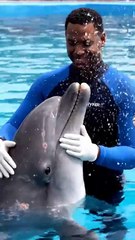 Funny Comedy Shorts 😂 | Viral Funny Videos | Best Comedy Clips