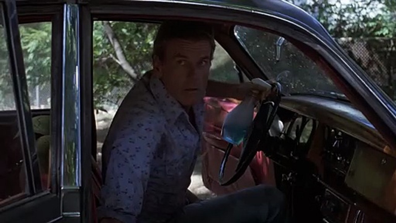 Leidenschaft und Verdammnis