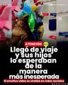 Llegó de viaje y sus hijos lo esperaban de la manera más inesperada
