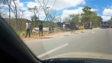 Caminhão tomba e pega fogo na BR-101 em Teotônio Vilela
