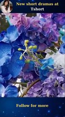 Swift Vows - Love Story Unfolds - Tshort